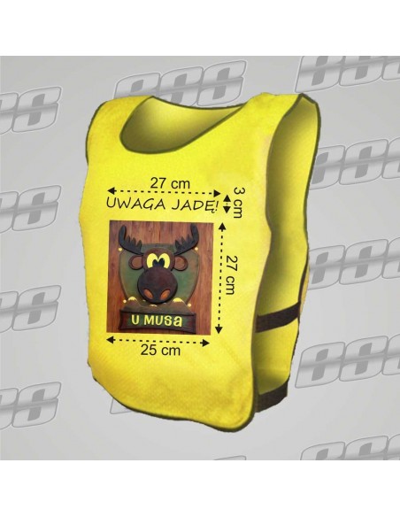 Plastron Sports Advertising Events Volunteer Service for Summer 2023.