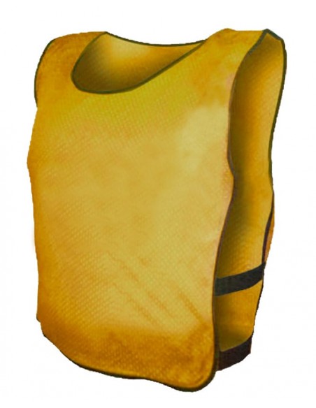 Plastron Sports Advertising Events Volunteer Service for Summer 2023.