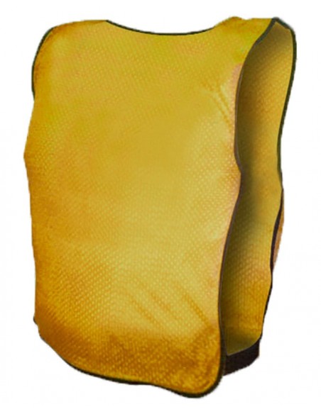 Plastron Sports Advertising Events Volunteer Service for Summer 2023.